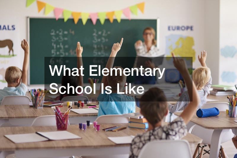 What Is Elementary School In French